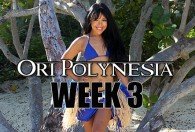 OP WK3 APR-JULY 2018