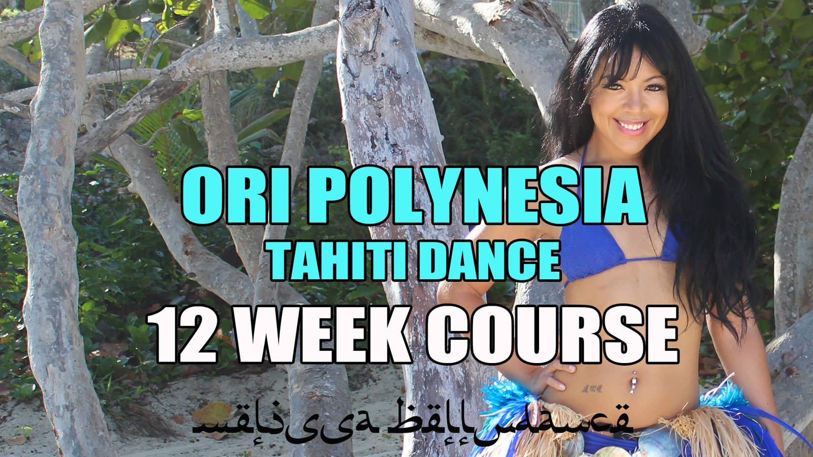 melissa belly dance live online level 1 belly dance